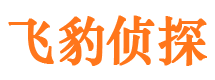 富宁市出轨取证